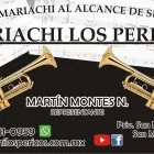 La imagen 1 de la Empresa MARIACHI LOS PERICOS Organización y Realización de Fiestas y Eventos en Irapuato GUA