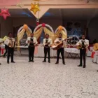 La imagen 2 de la Empresa MARIACHI LOS PERICOS Organización y Realización de Fiestas y Eventos en Irapuato GUA