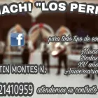 La imagen 3 de la Empresa MARIACHI LOS PERICOS Organización y Realización de Fiestas y Eventos en Irapuato GUA