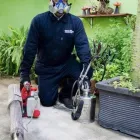 La imagen 1 de la Empresa MAXIMO CONTROL DE PLAGAS Servicios Profesionales y de Negocios en Veracruz VER