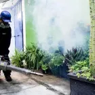 La imagen 2 de la Empresa MAXIMO CONTROL DE PLAGAS Servicios Profesionales y de Negocios en Veracruz VER