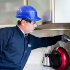 La imagen 3 de la Empresa MAXIMO CONTROL DE PLAGAS Servicios Profesionales y de Negocios en Veracruz VER