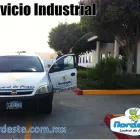 La imagen 3 de la Empresa NORDESTE CONTROL DE PLAGAS Servicios Profesionales y de Negocios en Tijuana BCN
