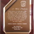La imagen 4 de la Empresa OREX ANILLOS DE GRADUACIÓN Servicios Profesionales y de Negocios en León De Los Aldama GUA