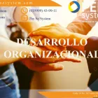 La imagen 2 de la Empresa PER SE SYSTEM Servicios Profesionales y de Negocios en Mérida YUC
