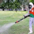 La imagen 3 de la Empresa PEST CONTROL Servicios Profesionales y de Negocios en Irapuato GUA