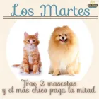 La imagen 1 de la Empresa PET PLACE. ESTETICA CANINA Y FELINA. en Tijuana BCN