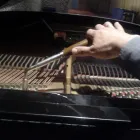 La imagen 2 de la Empresa PIANOS SERVICIO ACOSTA Grupos e Instrumentos Musicales en Ciudad De México CMX