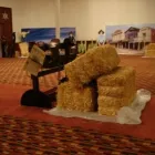 La imagen 2 de la Empresa PRODUCCIONES YL Video y Sonido Profesional en Tijuana BCN