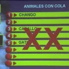 La imagen 10 de la Empresa PRODUCCIONES YL Video y Sonido Profesional en Tijuana BCN