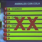 La imagen 106 de la Empresa PRODUCCIONES YL Video y Sonido Profesional en Tijuana BCN