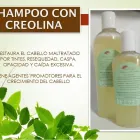 La imagen 4 de la Empresa PRODUCTOS UNIVERSAL Servicios Profesionales y de Negocios en Chihuahua MEX