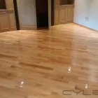 La imagen 14 de la Empresa PULIDORA DE PISOS CHIRINO en Ciudad De México CMX