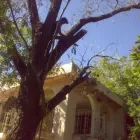 La imagen 6 de la Empresa PUNTO VERDE Sistemas y Equipos de Riego en Monterrey NLE