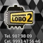 La imagen 1 de la Empresa RADIADORES LOBO 2 Talleres de reparación automotriz en Mérida YUC