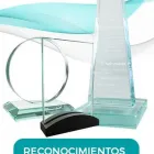 La imagen 5 de la Empresa RECONOCIMIENTOS Servicios Profesionales y de Negocios en Monterrey NLE