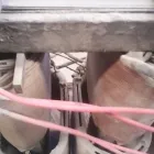 La imagen 77 de la Empresa REFACCIONES Y SERVICIO PARA MAQUINAS DE SOLDAR EN PACHUCA (SUMINISTROS A SOLDADORAS) Pailería y soldadura en Pachuca De Soto HID