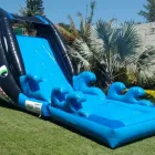 La imagen 2 de la Empresa RENTA DE TORO MECANICO EN VERACRUZ Organización y Realización de Fiestas y Eventos en Veracruz VER