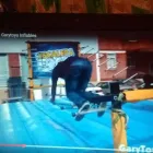 La imagen 5 de la Empresa RENTA DE TORO MECANICO EN VERACRUZ Organización y Realización de Fiestas y Eventos en Veracruz VER