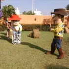 La imagen 24 de la Empresa RENTA DE TORO MECANICO EN VERACRUZ Organización y Realización de Fiestas y Eventos en Veracruz VER