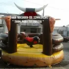 La imagen 59 de la Empresa RENTA DE TORO MECANICO EN VERACRUZ Organización y Realización de Fiestas y Eventos en Veracruz VER