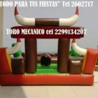 La imagen 60 de la Empresa RENTA DE TORO MECANICO EN VERACRUZ Organización y Realización de Fiestas y Eventos en Veracruz VER
