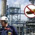 La imagen 1 de la Empresa RV FUMIGACIONES SERVICIO INTEGRAL DE CONTROL DE PLAGAS en Villahermosa TAB