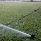 La imagen 1 de la Empresa SAN LORENZO VIVERO Sistemas y Equipos de Riego en Torreón COA
