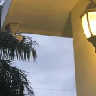 La imagen 6 de la Empresa SATEC Tienda de Informática en Tampico TAM