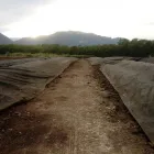 La imagen 3 de la Empresa SEMPRE-TERRA Industrias y Agricultura en San Pedro Garza García NLE