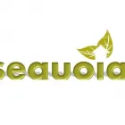 La imagen 1 de la Empresa SEQUOIA DESIGN S.A. DE C.V Tiendas y Fábricas de Telas en Pachuca De Soto HID
