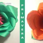 La imagen 11 de la Empresa SER NOVIA Industrias y Agricultura en Naucalpan De Juárez MEX