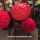 La imagen 13 de la Empresa SER NOVIA Industrias y Agricultura en Naucalpan De Juárez MEX