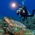 La imagen 3 de la Empresa SERVICIO TECNICO SCUBA Servicios Profesionales y de Negocios en Puerto Vallarta JAL