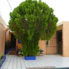La imagen 8 de la Empresa SERVICIOS DE HOSPEDAJE EN MERIDA YUCATAN Inmobiliarias en Mérida YUC