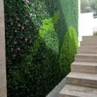 La imagen 9 de la Empresa SHEER DISEÑO EN ESPACIOS Servicios Profesionales y de Negocios en San Luis Potosí SLP