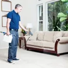La imagen 2 de la Empresa SHINE CLEANERS CULIACAN Servicios Profesionales y de Negocios en Culiacán SIN
