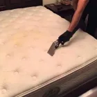 La imagen 1 de la Empresa SHINE CLEANERS Servicios Profesionales y de Negocios en Zapopan JAL