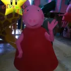 La imagen 1 de la Empresa SHOW INFANTIL DIVERTI-KID'S en Ciudad Victoria TAM