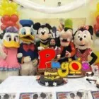 La imagen 2 de la Empresa SHOW INFANTIL PINGOS Organización y Realización de Fiestas y Eventos en Veracruz VER