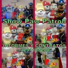 La imagen 8 de la Empresa SHOW INFANTIL PINGOS Organización y Realización de Fiestas y Eventos en Veracruz VER