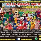 La imagen 9 de la Empresa SHOW INFANTIL PINGOS Organización y Realización de Fiestas y Eventos en Veracruz VER