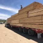 La imagen 1 de la Empresa SIERRAECOMADERAS Servicios Profesionales y de Negocios en Hidalgo Del Parral CHH