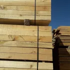 La imagen 5 de la Empresa SIERRAECOMADERAS Servicios Profesionales y de Negocios en Hidalgo Del Parral CHH