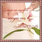 La imagen 3 de la Empresa SOL MAYA SPA en Mérida YUC