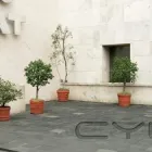 La imagen 3 de la Empresa SOLUCIONES ADVANS Servicios Legales y Financieros en Mérida YUC