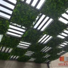 La imagen 1 de la Empresa TECHOS Y DOMOS POLICARBONATO QUERETARO Servicios Profesionales y de Negocios en Querétaro QUE