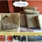 La imagen 18 de la Empresa TEKNOCLEAR PROFESSIONAL CLEANING en Ciudad De México CMX