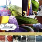 La imagen 32 de la Empresa TEKNOCLEAR PROFESSIONAL CLEANING en Ciudad De México CMX
