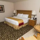 La imagen 21 de la Empresa TIJUANA MARRIOTT HOTEL Transportes y Turismo en Tijuana BCN